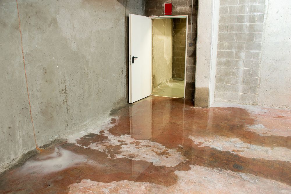 Water in basement that could have been prevented by French drains